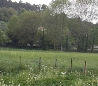 Camping à la ferme - 0