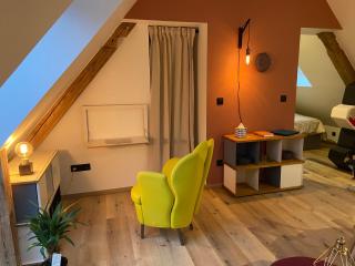 Le clos du moulin - Studio loft aux pieds des Vosges - 1
