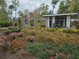 Sallands Boschalet - 8