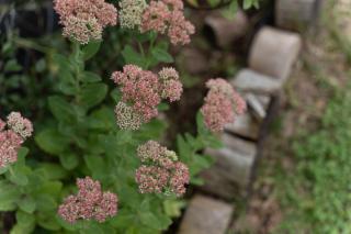 Casa del Lago Gutiérrez Roble - 8