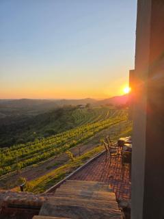 Vinicola Spirito - 7