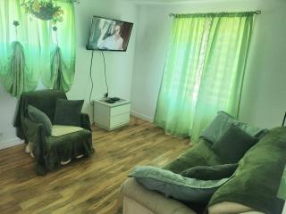 Downtown apartment next to highway netflix+wifi - 5