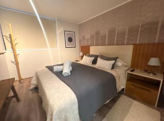 Bello departamento I Excelente ubicación I Zona centro - 5