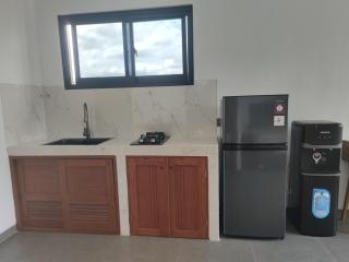 Airlangga Suites Ubud - 1