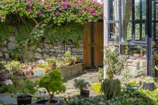 Floral Holiday Guesthouse 古城边的花园民宿 - 3