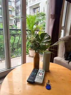 801 Golden Buffalo - 6