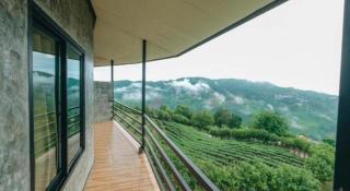 101 Tea Green View - 7