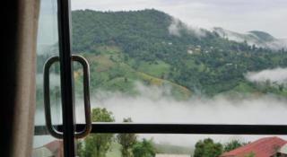 101 Tea Green View - 5