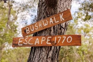 Wilderness Whisper By Tiny Away - 9