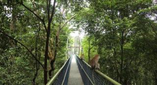 Penta Hotel - Singapur - 2