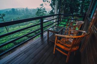 Stanmore Garden Bungalow - 5