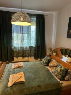 Mieszkanie z dusza artystyczna 64mkw - 5