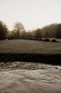 Domaine de Thironne - 7