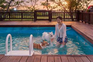 Ganghwa Aboha Pet-Friendly Pension - 7