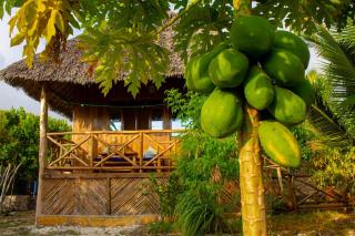 Mbao Boutique Bungalows - 5