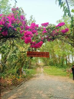Narayani View Resort - 9