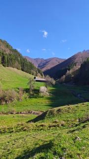 Cabana Țibleș Bichigiu - 9