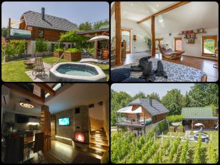 Vineyard cottage Matej - 0