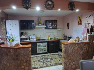 Cabana Vanatorului -  - 6