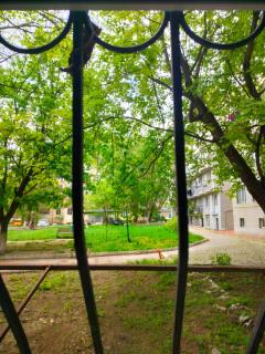 Cozy apartment in the park zone - 5