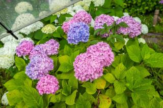 -Asakusa 5chome- 12-minute walk to Asakusa Station! - 4