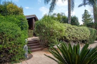 Pine Tree Cabin - Moshav Ramot - 5