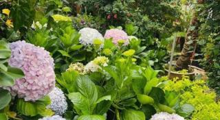 La Roza Dalat Boutique Hotel - 7