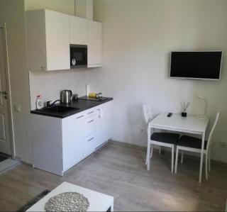 Vilnius Town apartmen - 0