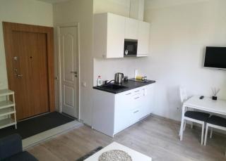 Vilnius Town apartmen - 5