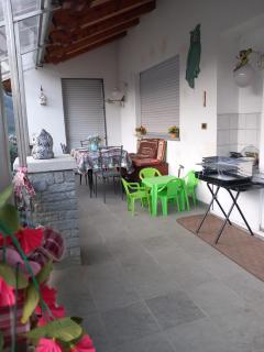 The Green Owl - 5