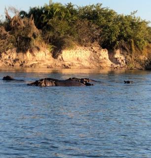 Emms Cubango Ecological Camp - 8
