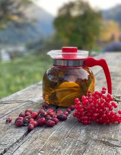 Дідова Хата - 2