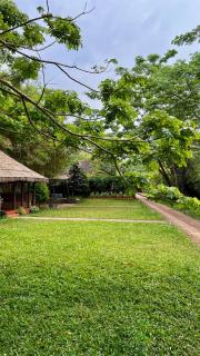 Petals Resorts Wayanad - 3