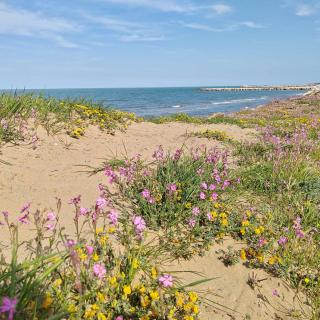 Anthemis - Affitti Brevi Italia - 8
