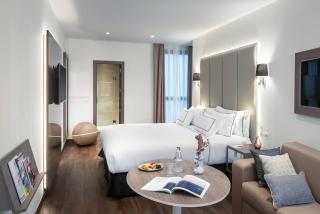 Meliá Madrid Serrano - 7
