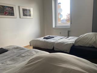 Stefans Apartments B - 20 min bis DD Messe und Flughafen inkl Parkplatz - 9