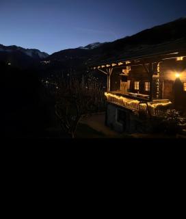 Schnitzers Ferienheisl - 7