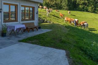 Urlaub am Bauernhof Anzerberg Salzkammergut - 1