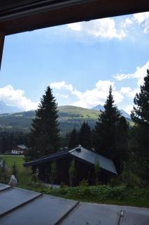 Easy Stay Königsleiten by my Alpenwelt Resort - 8