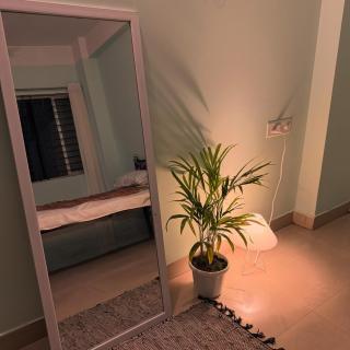 Lunaa Lusso Homestay - 8