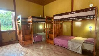 Loop Tribe Hostel - 0