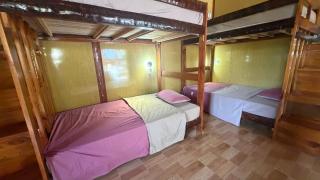 Loop Tribe Hostel - 2