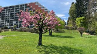 Apartment Landskron am Ossiachersee - 6