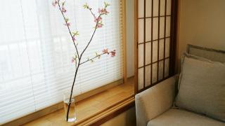 New Open T-House Kyoto-2 豪華鄰近二條城天然材質檜木清香帶露天風呂-放鬆的京都生活 - 6