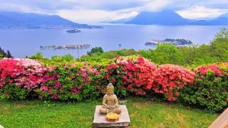 Shambala Home Loft Sole - 7