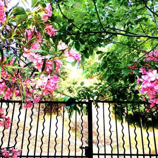 CASA OLMU with its private swimming pool and garden - 0