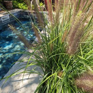 CASA OLMU with its private swimming pool and garden - 6