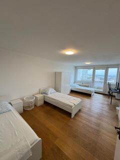 Penthouse Monteurwohnung Ludwigshafen - 5