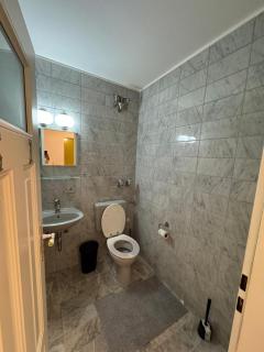 Penthouse Monteurwohnung Ludwigshafen - 1