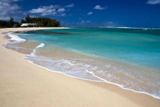 Luxury Oceanfront Boutique Stay in Paje Zanzibar with Private Terrace & Beach Access - 8
